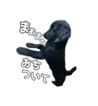 ニールシール 2（個別スタンプ：23）