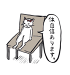 志保ちゃん(無理矢理二足歩行猫)（個別スタンプ：16）