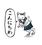 志保ちゃん(無理矢理二足歩行猫)（個別スタンプ：34）