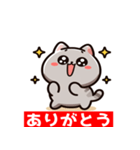 ひげのワンダー: 楽しいネコの表情（個別スタンプ：1）