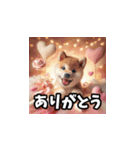 柴犬とマシュマロ風もふもふ詰め合わせ（個別スタンプ：3）