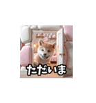 柴犬とマシュマロ風もふもふ詰め合わせ（個別スタンプ：11）