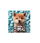 柴犬とマシュマロ風もふもふ詰め合わせ（個別スタンプ：17）