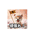 柴犬とマシュマロ風もふもふ詰め合わせ（個別スタンプ：18）