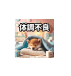 柴犬とマシュマロ風もふもふ詰め合わせ（個別スタンプ：22）