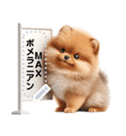 仔犬が伝えるメッセージ（個別スタンプ：3）