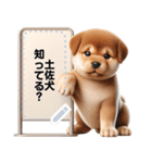 仔犬が伝えるメッセージ（個別スタンプ：15）