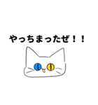 ヤバいねこ1（個別スタンプ：1）