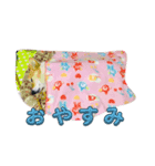 カノンです。（個別スタンプ：5）