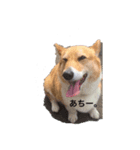 カノンです。（個別スタンプ：6）