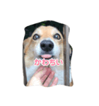カノンです。（個別スタンプ：7）