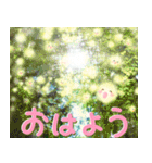 自然讃歌.*地球お母さんありがとう.*☆日常（個別スタンプ：4）