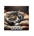 毎日使える無難な猫（個別スタンプ：1）