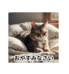 毎日使える無難な猫（個別スタンプ：6）