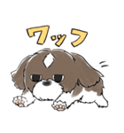 たぬきち日和（個別スタンプ：30）