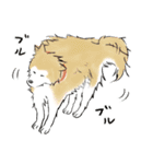 たぬきち日和（個別スタンプ：32）