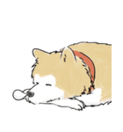 たぬきち日和（個別スタンプ：35）