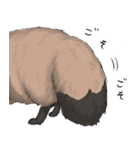 たぬきち日和（個別スタンプ：37）