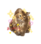 リアル猫にゃん♫きなこ♡（個別スタンプ：11）
