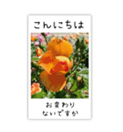 BIG✳︎薔薇画像を添えて✳︎優しい長文敬語（個別スタンプ：6）