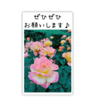 BIG✳︎薔薇画像を添えて✳︎優しい長文敬語（個別スタンプ：22）