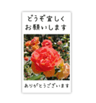 BIG✳︎薔薇画像を添えて✳︎優しい長文敬語（個別スタンプ：23）