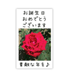 BIG✳︎薔薇画像を添えて✳︎優しい長文敬語（個別スタンプ：25）