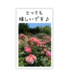 BIG✳︎薔薇画像を添えて✳︎優しい長文敬語（個別スタンプ：28）