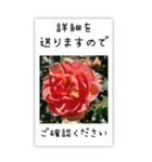 BIG✳︎薔薇画像を添えて✳︎優しい長文敬語（個別スタンプ：31）