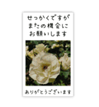 BIG✳︎薔薇画像を添えて✳︎優しい長文敬語（個別スタンプ：32）