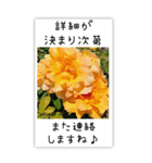 BIG✳︎薔薇画像を添えて✳︎優しい長文敬語（個別スタンプ：35）