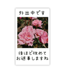 BIG✳︎薔薇画像を添えて✳︎優しい長文敬語（個別スタンプ：36）