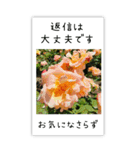 BIG✳︎薔薇画像を添えて✳︎優しい長文敬語（個別スタンプ：37）