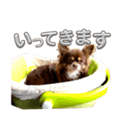ゆめちゃんスタンプ♥️（個別スタンプ：9）