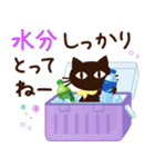 夏に向けて♡大人の黒ねこ（個別スタンプ：11）