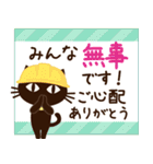 夏に向けて♡大人の黒ねこ（個別スタンプ：16）