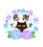 夏に向けて♡大人の黒ねこ（個別スタンプ：17）