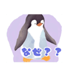 ちょっと間抜けな優しいペンギン2（個別スタンプ：1）