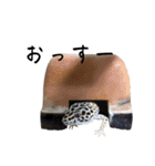 身近だな、、、スタンプ（個別スタンプ：33）