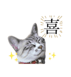 COCO TAKEMOTO -season 2-（個別スタンプ：2）