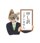 COCO TAKEMOTO -season 2-（個別スタンプ：7）