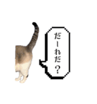 COCO TAKEMOTO -season 2-（個別スタンプ：12）