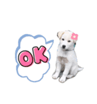 わさびっ（個別スタンプ：3）
