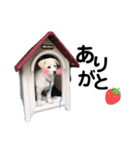 わさびっ（個別スタンプ：9）