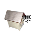 わさびっ（個別スタンプ：14）