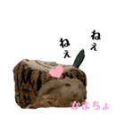 もっちゃん可愛い集（個別スタンプ：18）