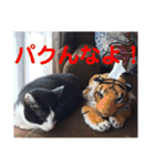 ロコ＆モコ×ブウのかわちぃLINEスタンプ！（個別スタンプ：5）