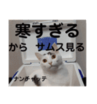 ロコ＆モコ×ブウのかわちぃLINEスタンプ！（個別スタンプ：15）