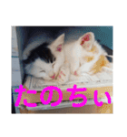 ロコ＆モコ×ブウのかわちぃLINEスタンプ！（個別スタンプ：26）