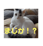 ロコ＆モコ×ブウのかわちぃLINEスタンプ！（個別スタンプ：27）